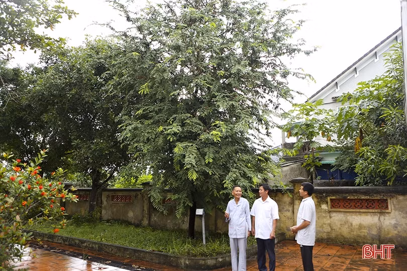 La Sơn phu tử Nguyễn Thiếp và Vua Quang Trung kết mối lương duyên Hà Tĩnh - Bình Định