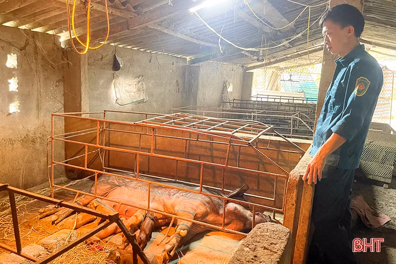 Đức Thọ phát huy vai trò các hội, đoàn thể trong công tác giảm nghèo