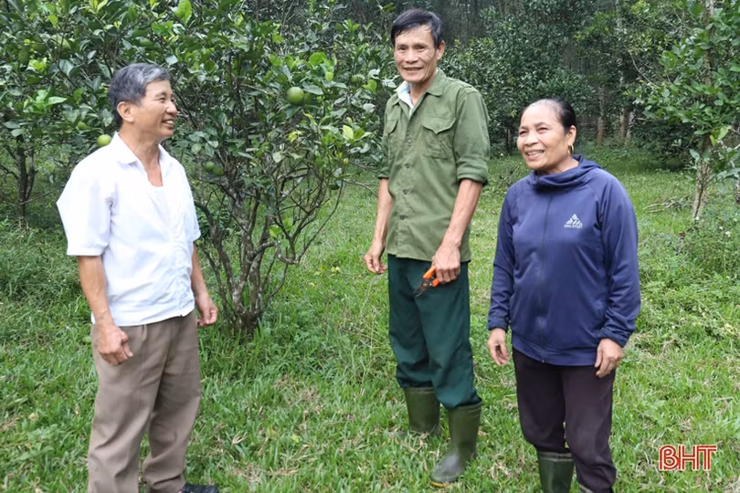 Cặp vợ chồng gây dựng kinh tế nơi thâm sơn cùng cốc