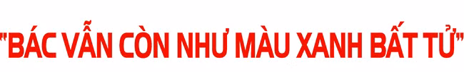 Thấy bóng Người trong vóc dáng quê hương