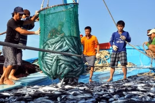 Vi phạm hành chính trong lĩnh vực thủy sản bị phạt tới 1 tỷ đồng