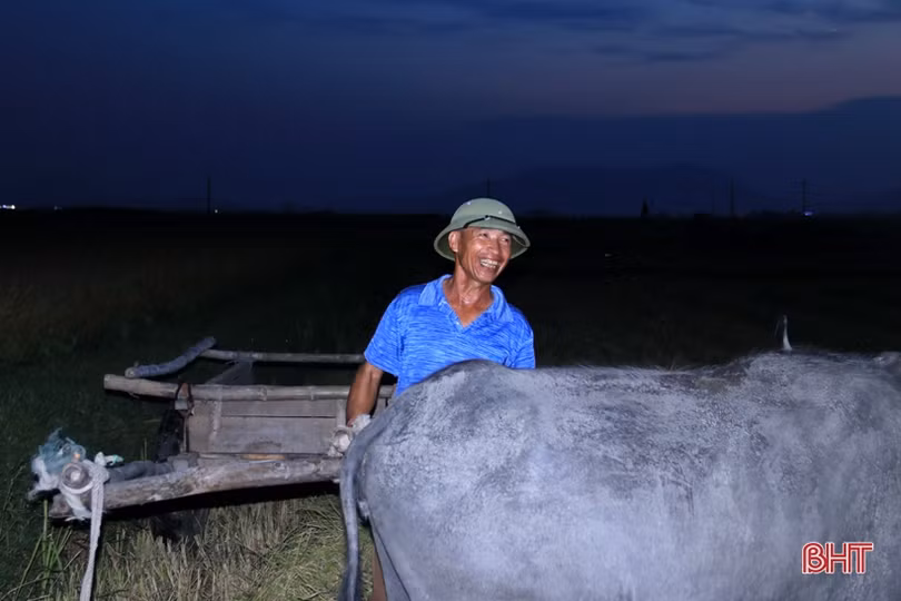 Xem nông dân Hà Tĩnh gặt lúa đêm “trốn” nóng