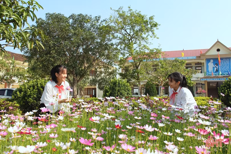 Bí quyết giữ vườn rau sạch, xanh mướt trong mùa nắng của nông dân Hà Tĩnh