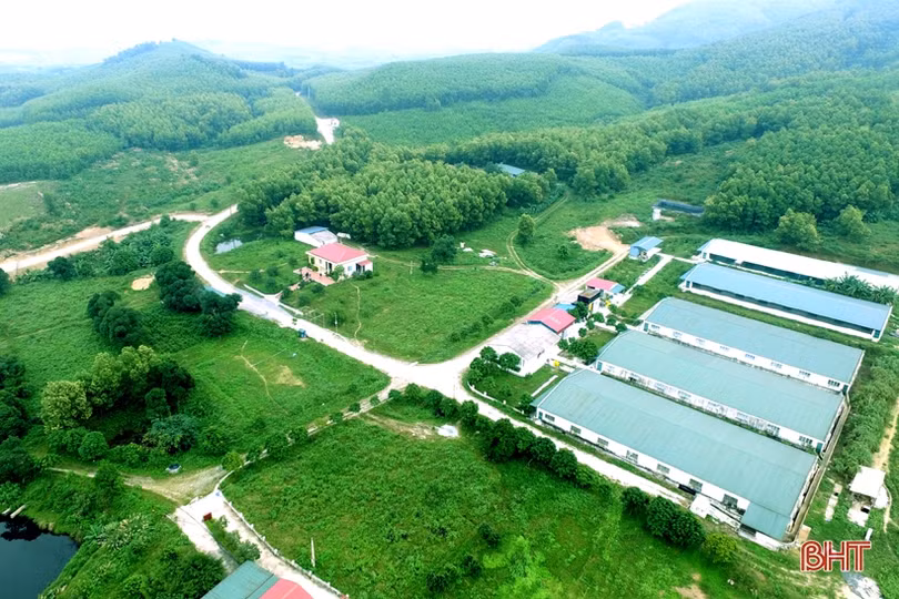 Thạc sĩ 8X Hà Tĩnh bỏ lương nghìn đô về quê làm nông nghiệp sạch