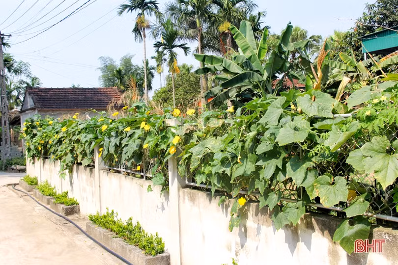 Phụ nữ vùng giáo Hà Tĩnh chung sức làm đẹp khu dân cư NTM kiểu mẫu