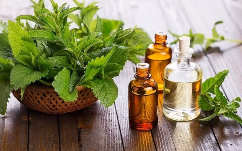 Mách bạn 10 thói quen để tránh mắc bệnh vào mùa Hè
