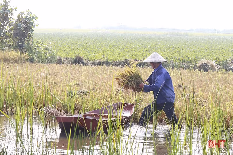 Việc “kéo” người, lao động Hà Tĩnh phơi mình dưới nắng 