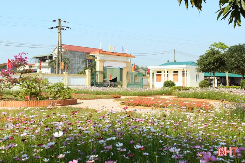 Khu vườn trường rực rỡ sắc hoa ở Hà Tĩnh