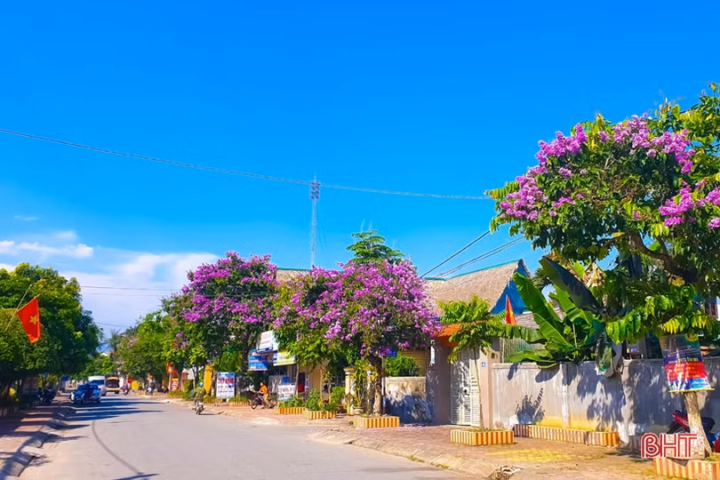 Tím biếc tháng 5 thương nhớ...!