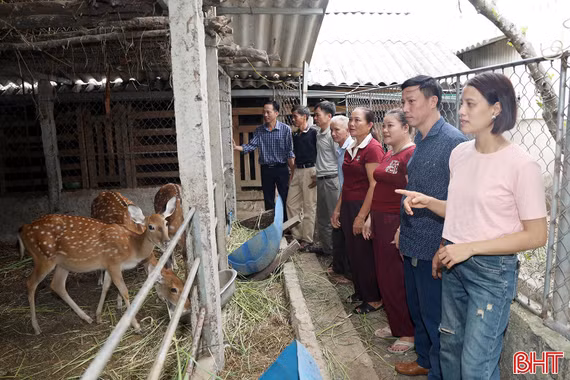 Nông dân Hà Tĩnh liên kết, nâng cao hiệu quả sản xuất