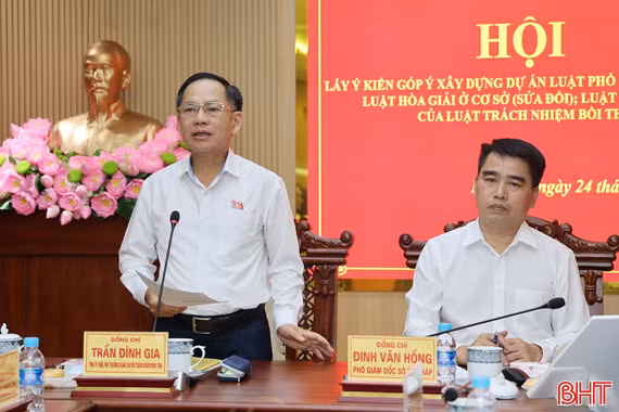 Góp ý xây dựng các dự án luật theo hướng đồng bộ, sát thực tiễn
