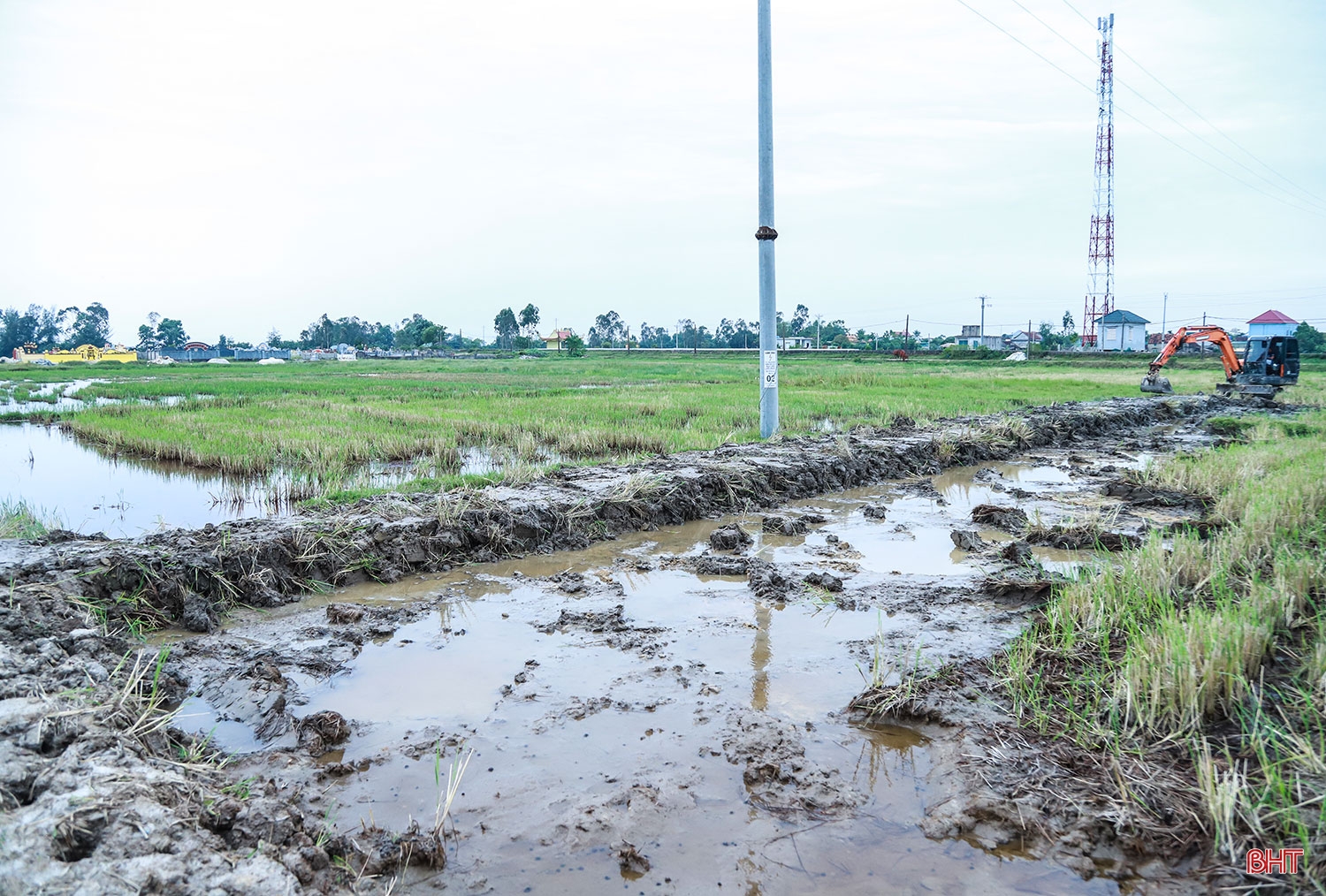 Tập trung, tích tụ ruộng đất - kiến tạo nền nông nghiệp hiện đại, bền vững (Bài 1): Sức bật cho cuộc cách mạng ruộng đất lần 3