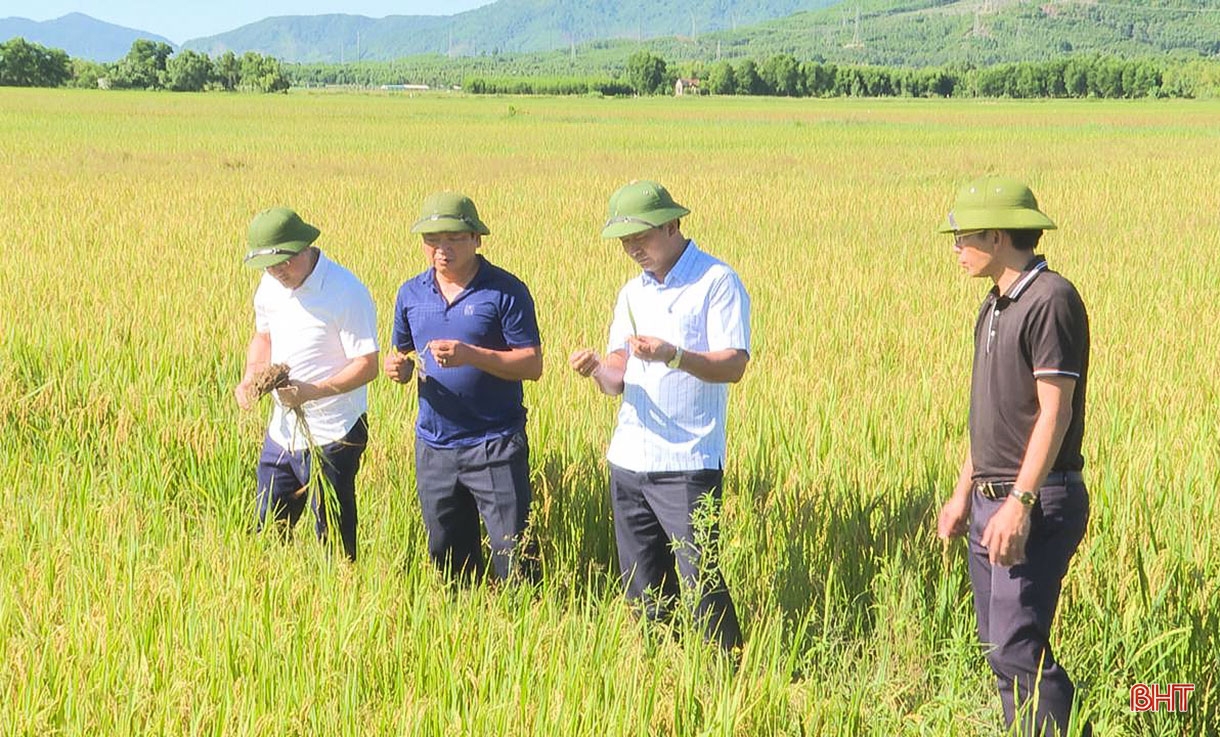 Tập trung, tích tụ ruộng đất - kiến tạo nền nông nghiệp hiện đại, bền vững (Bài 1): Sức bật cho cuộc cách mạng ruộng đất lần 3