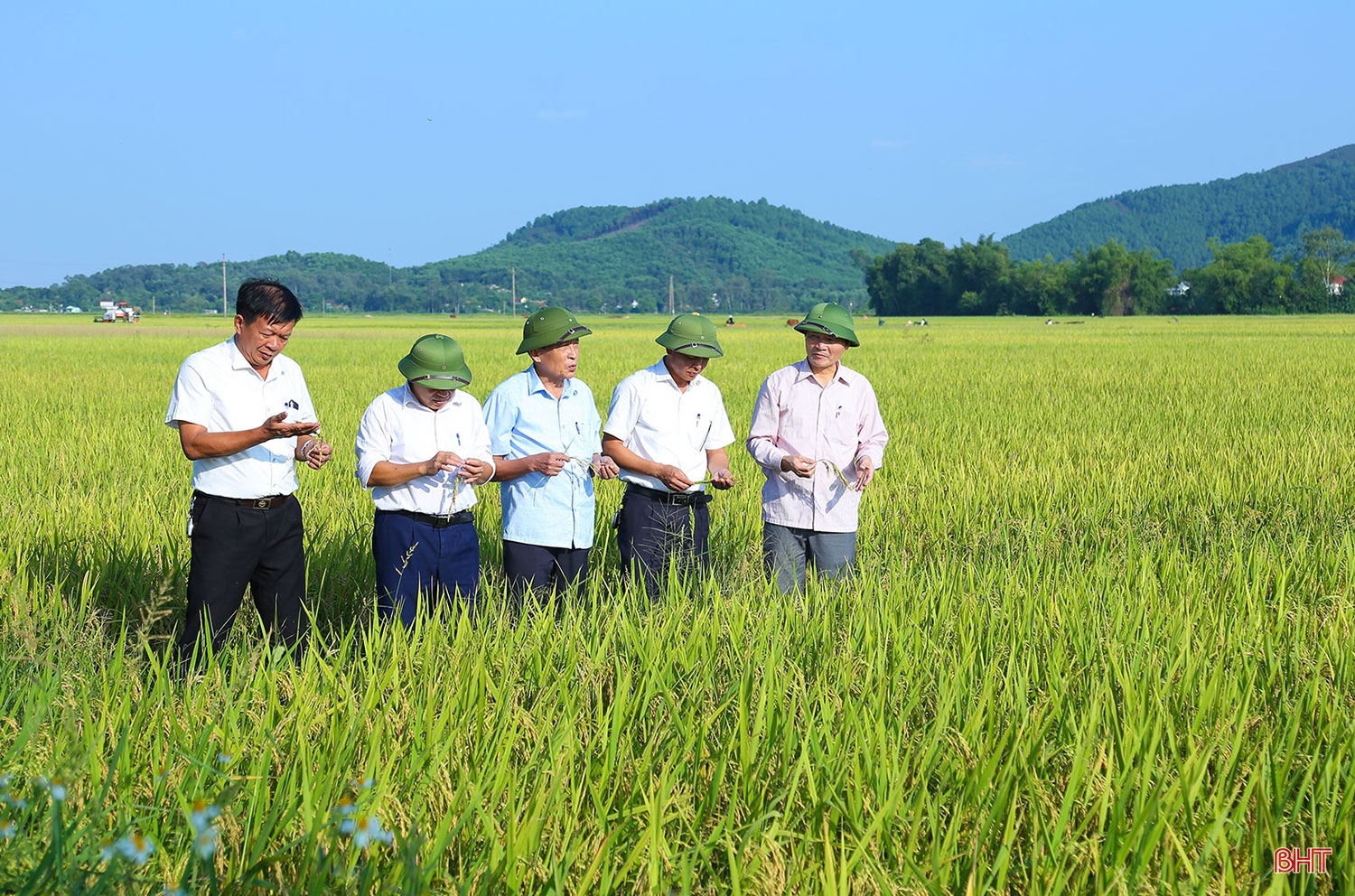 Tập trung, tích tụ ruộng đất - kiến tạo nền nông nghiệp hiện đại, bền vững (Bài 1): Sức bật cho cuộc cách mạng ruộng đất lần 3