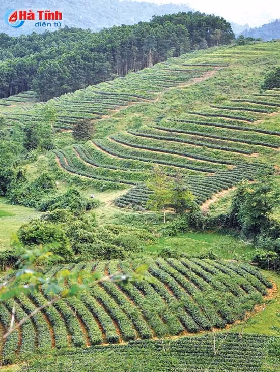 Bàn tay ta làm nên tất cả... ảnh 2