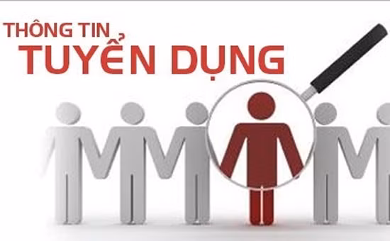 Công ty TNHH MTV Human City cần tuyển dụng ảnh 1