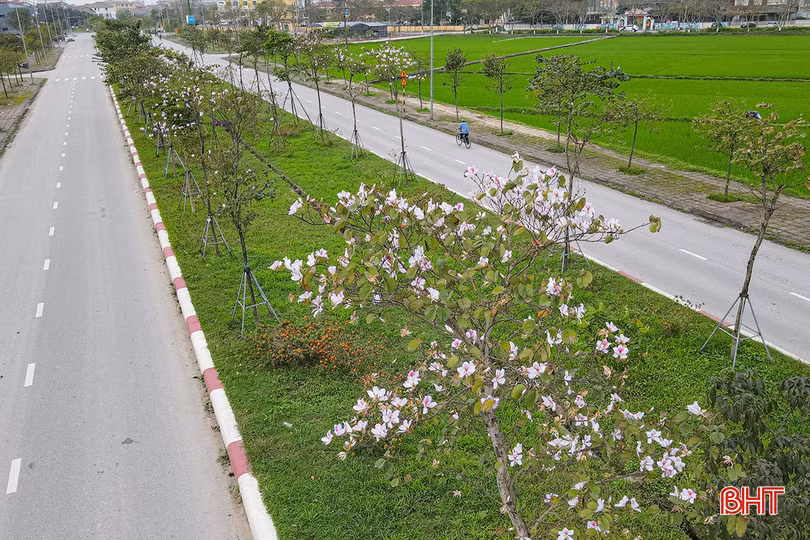 Khu vực Hà Tĩnh rải rác có mưa trong những ngày tới.