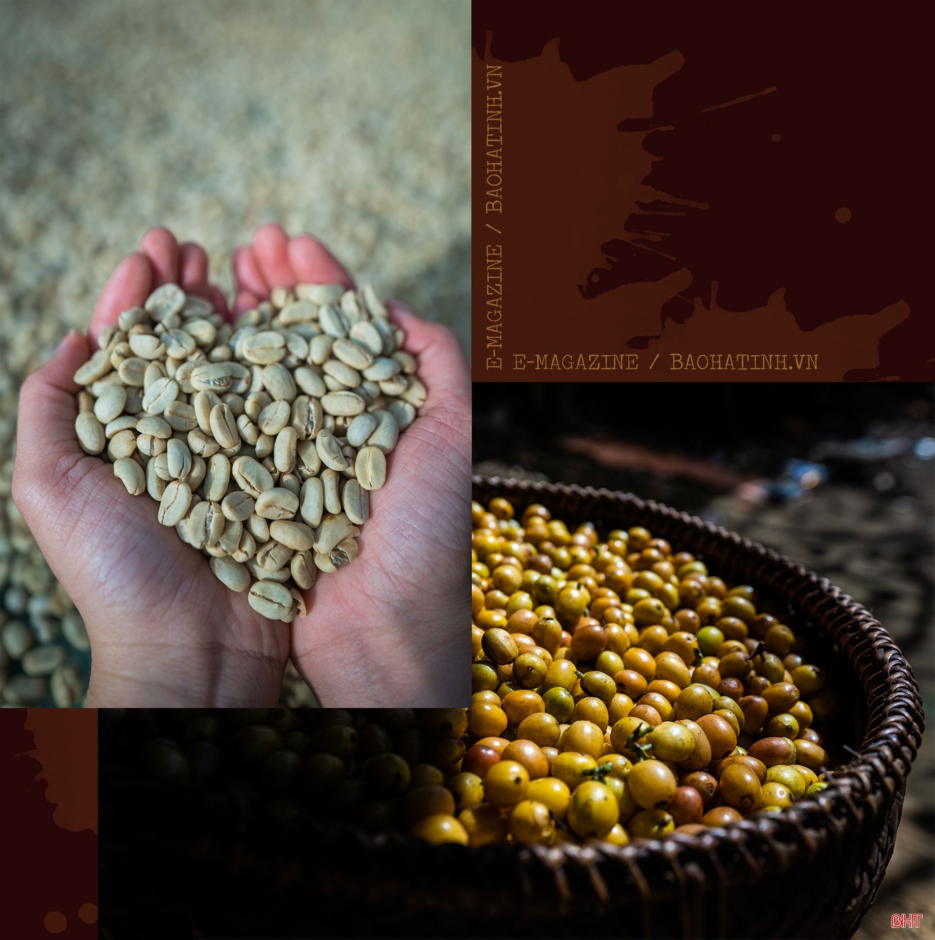 CEO Shin Coffee quê Hà Tĩnh: “Ước mơ của bạn càng lớn, bạn sẽ càng kết nối được với những nguồn lực mạnh”