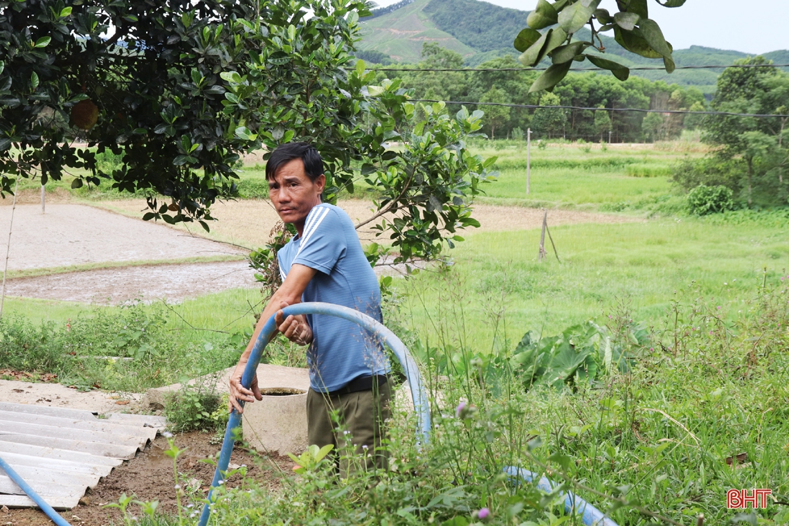 Nông dân vựa cam Hà Tĩnh giúp cây “trốn” nắng nóng