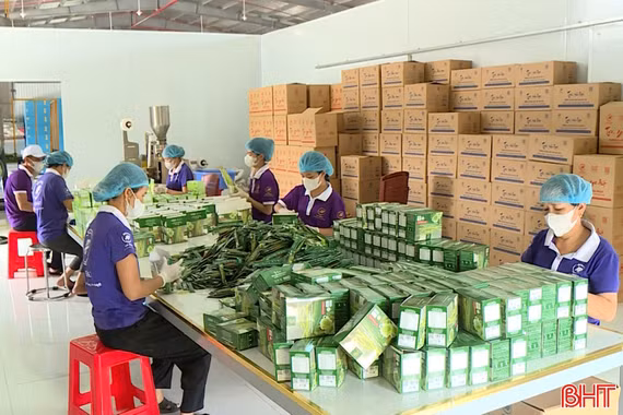 Khởi nghiệp sáng tạo trong dòng chảy đổi mới