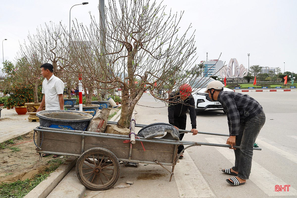 bqbht_br_img-7767-copy.jpg