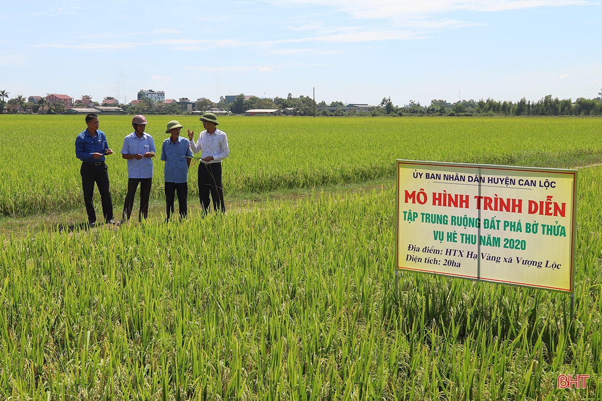 Phá bờ thửa nhỏ hình thành ô thửa lớn - cuộc cách mạng trong nông nghiệp Hà Tĩnh (bài 3): Sớm tháo gỡ những rào cản