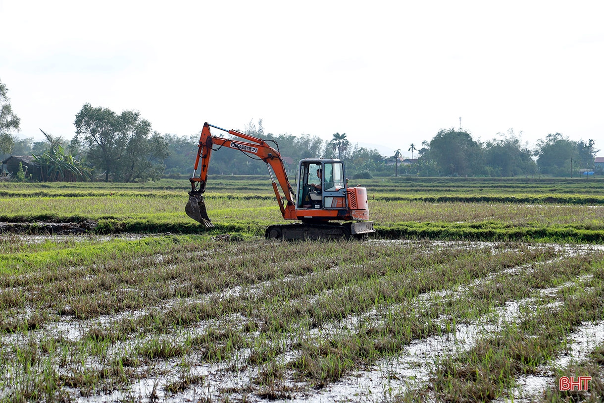 Phá bờ thửa nhỏ hình thành ô thửa lớn - cuộc cách mạng trong nông nghiệp Hà Tĩnh (bài 3): Sớm tháo gỡ những rào cản