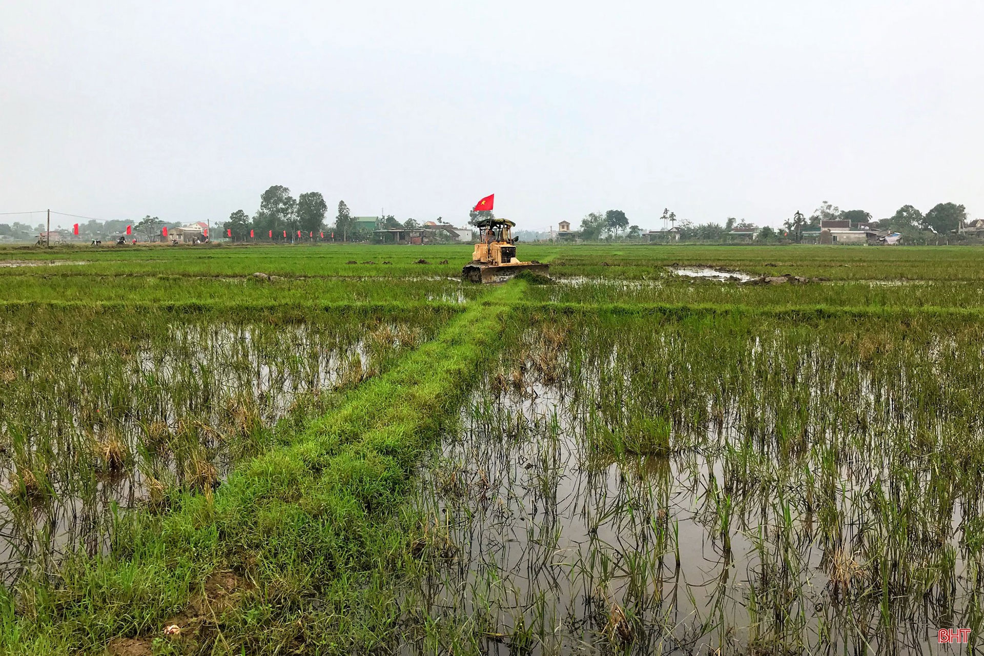 Phá bờ thửa nhỏ hình thành ô thửa lớn - cuộc cách mạng trong nông nghiệp Hà Tĩnh