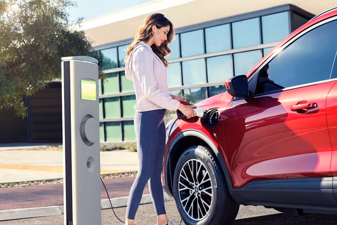 Ford Escape 2020 ra mắt, đối thủ của Honda CR-V và Toyota RAV4