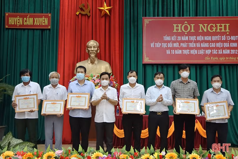 Phát triển kinh tế tập thể phải chú trọng thực chất, gắn với sản phẩm OCOP và nâng cao đời sống người dân