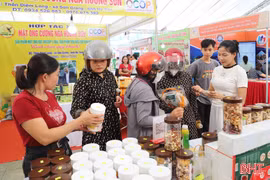 Đặc sản ba miền hội tụ tại hội chợ lớn nhất Hà Tĩnh