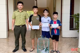 3 học sinh ở phường Thành Sen giao nộp cá thể chim quý hiếm