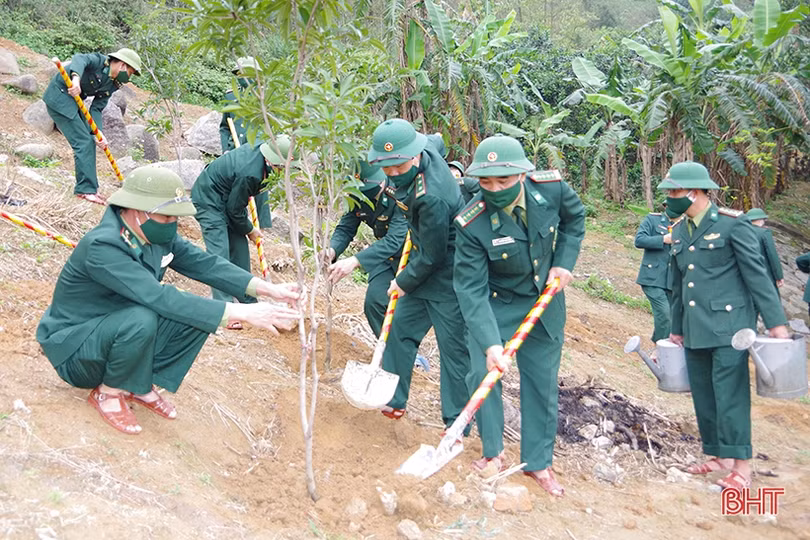 Các địa phương, đơn vị ở Hà Tĩnh phát động trồng cây đầu năm