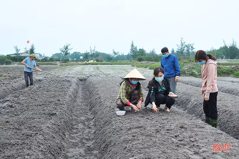 Lãnh đạo Hội Nông dân Hà Tĩnh xuống đồng, động viên nông dân sản xuất