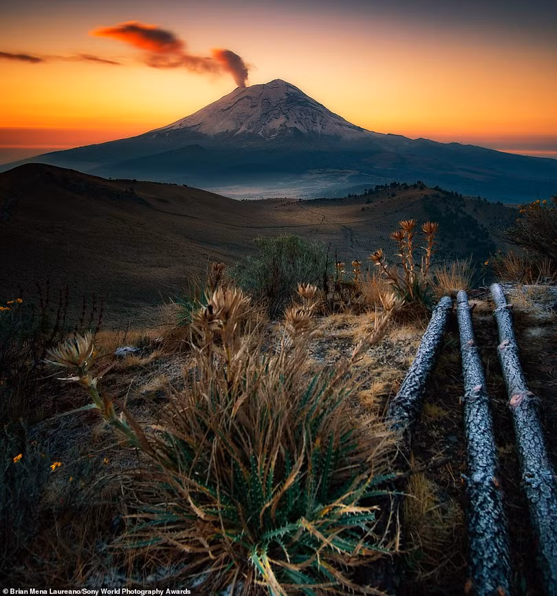 Mê mẩn loạt tác phẩm đoạt giải ảnh Sony World Photography Awards 2021