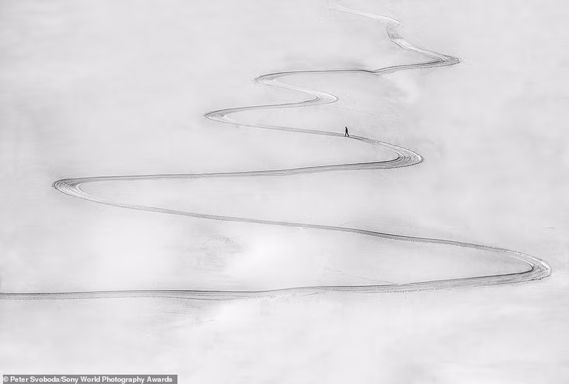 Mê mẩn loạt tác phẩm đoạt giải ảnh Sony World Photography Awards 2021