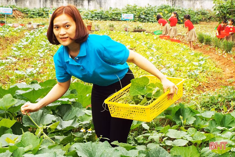 Mướt mắt những vườn rau bán trú của cô trò ở huyện miền núi Hà Tĩnh