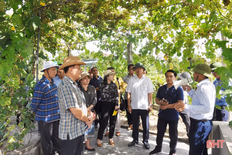 Cán bộ, lãnh đạo Savannakhet tham quan nông thôn mới Hà Tĩnh