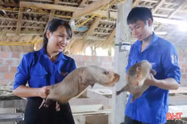 Phát triển các mô hình kinh tế thanh niên cho giá trị cao