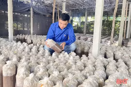 Tiếp sức cho thanh niên Hà Tĩnh lập nghiệp từ nguồn vốn vay ưu đãi