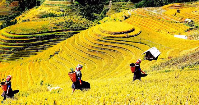 9 diem den o viet nam khien khach tay di mai van say nhu dieu do