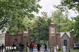 Tòa án Mỹ bác đơn kiện của chính quyền đối với Đại học Harvard