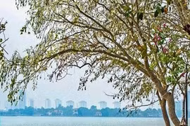 Tháng 10, nhiệt độ cả nước cao hơn trung bình nhiều năm