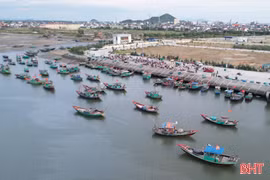 Sau áp thấp, ngư dân Hà Tĩnh trúng nhiều hải sản giá trị