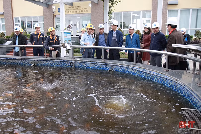 Mặt trận Tổ quốc Việt Nam giám sát công tác bảo vệ môi trường tại Formosa Hà Tĩnh