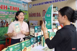Đưa sản vật Hà Tĩnh ra thị trường quốc tế