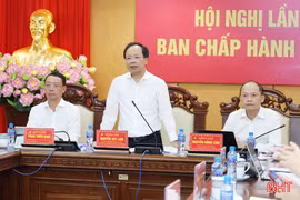 Ban Chấp hành Đảng bộ tỉnh Hà Tĩnh cho ý kiến các nội dung thuộc thẩm quyền 