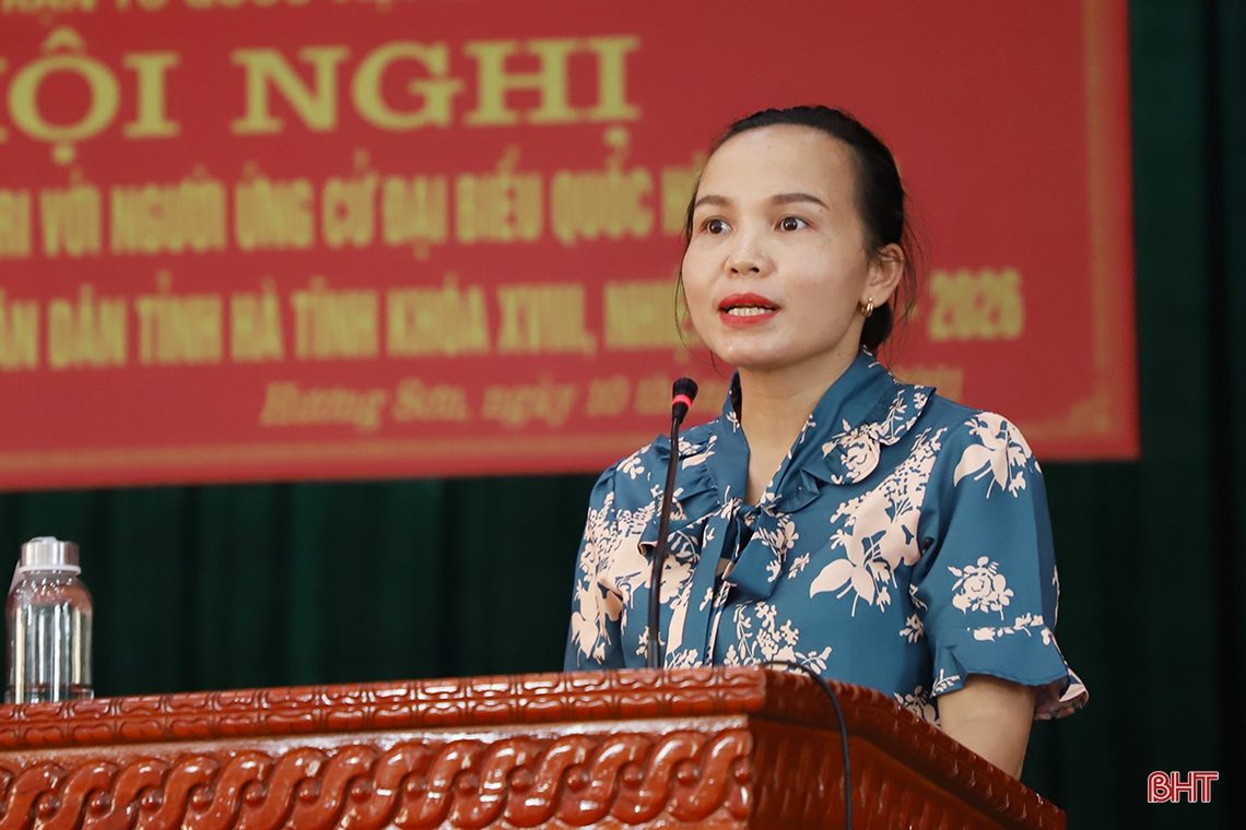 Đưa tiếng nói của cử tri đến với Quốc hội, Hội đồng nhân dân