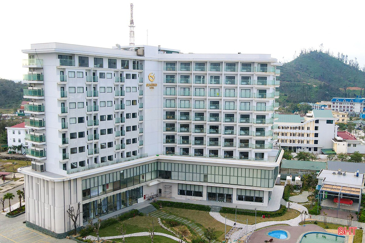 bqbht_br_adji-0762.jpg