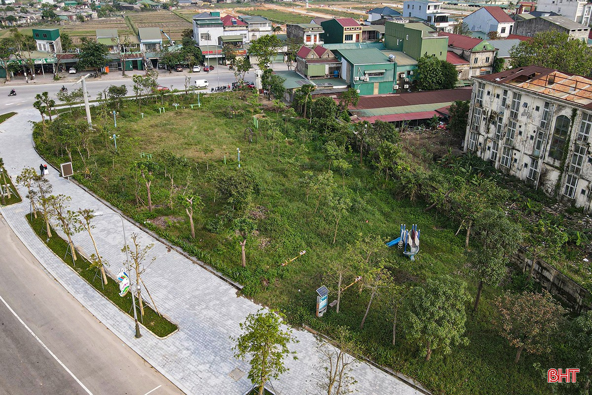 bqbht_br_adji-0677.jpg
